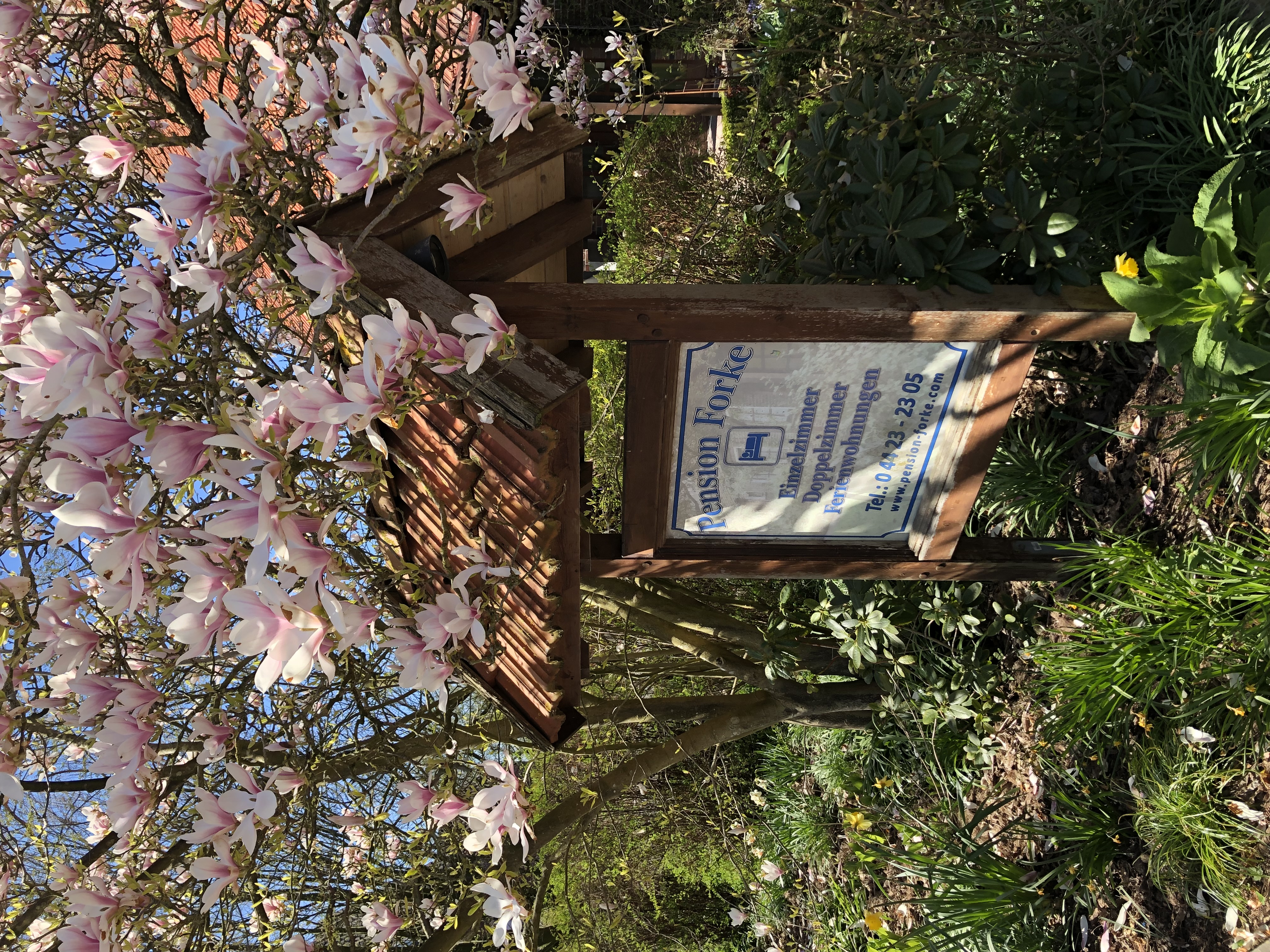 Pension Forke - Außenansicht im Sonnenlicht