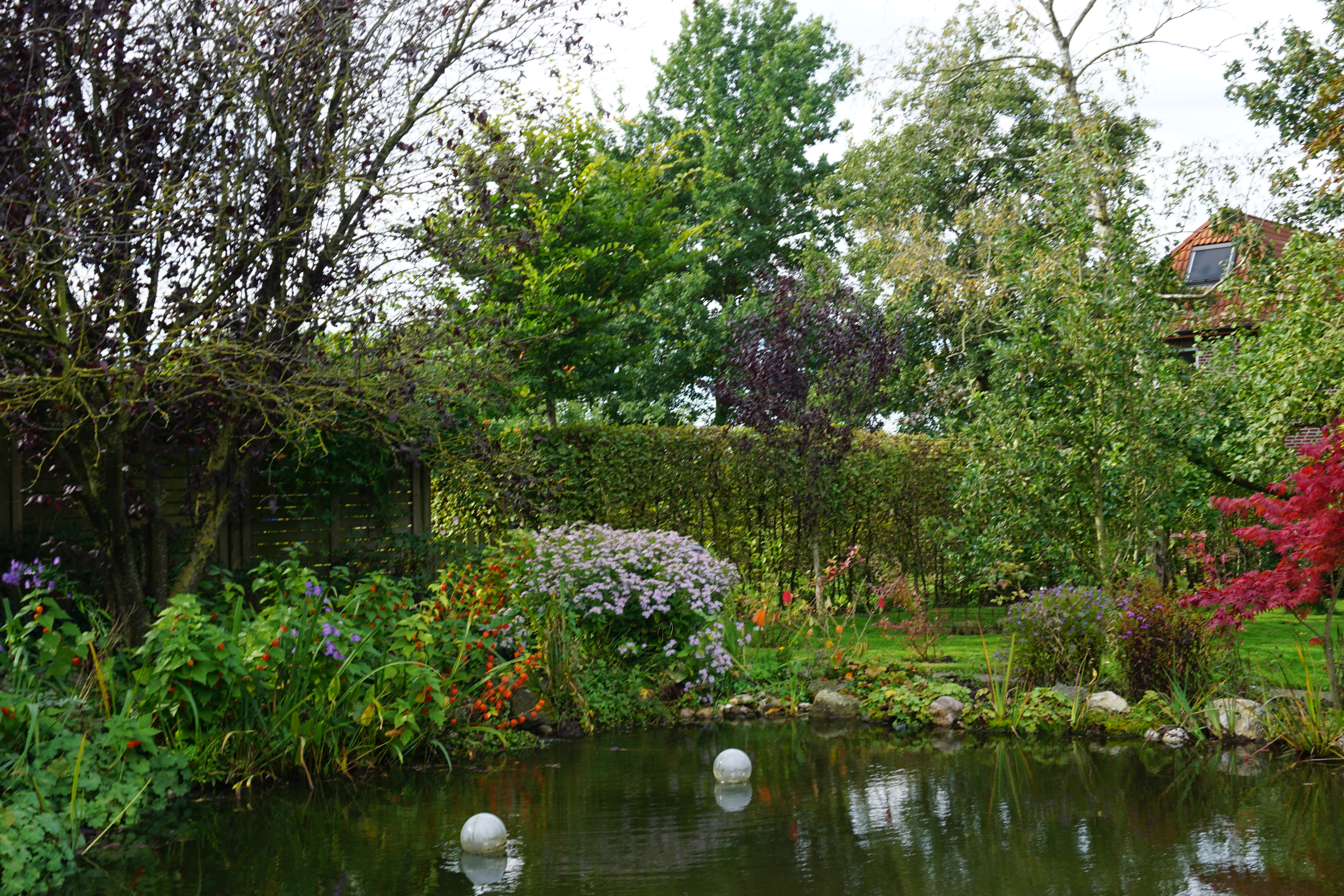 Pension Forke - Strandpromenade in der Nähe